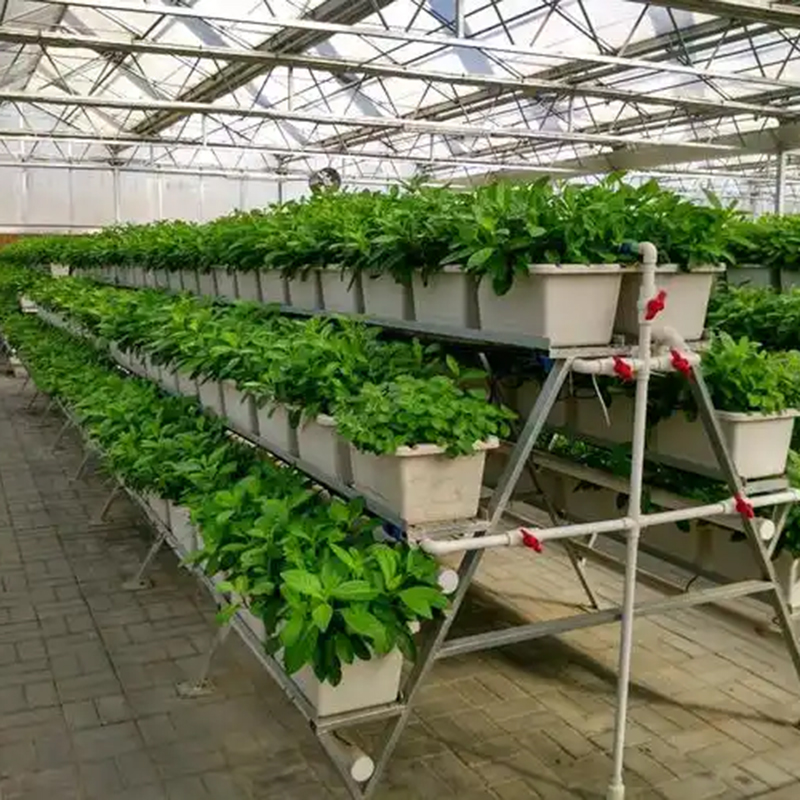 鞍山市植物工厂气雾培 - 厂家