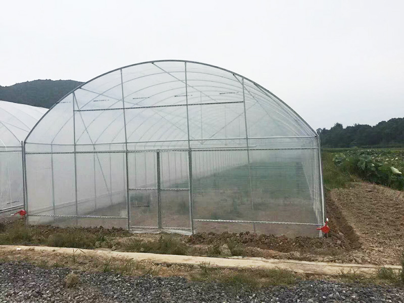 鞍山市薄膜大棚气雾培 - 哪里好